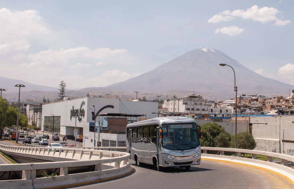 BUSES URBANOS